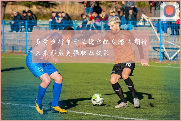 芬奇分析华子兰德尔配合潜力期待未来形成更强联动效果