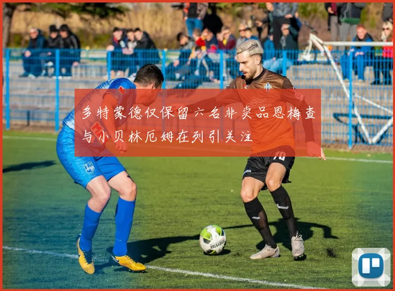 多特蒙德仅保留六名非卖品恩梅查与小贝林厄姆在列引关注
