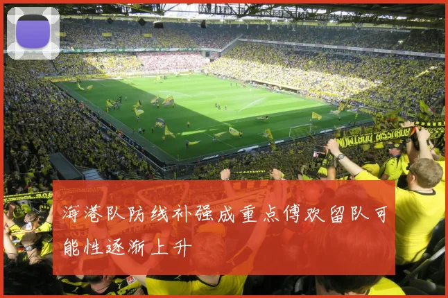 海港队防线补强成重点傅欢留队可能性逐渐上升